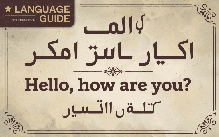 English to Dari Translation: Language Guide